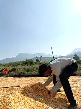 devil boy 0909 online show from November 2025 08:42:01 AM