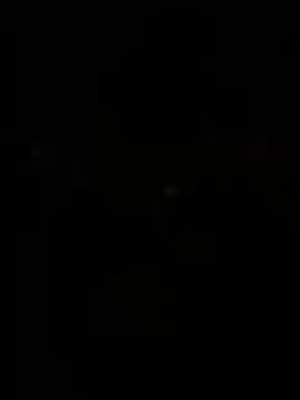 WildNour online show from April 2026 11:05:01 AM