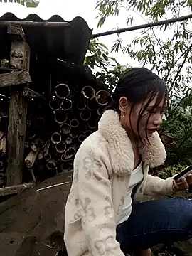 Snapshot of doggy-00 chatting on January 2026 06:50:02 AM doggy-00 online show from January 2026 06:50:02 AM