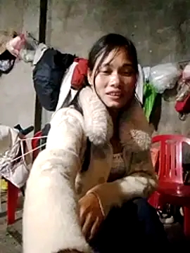 Snapshot of doggy-00 chatting on February 2026 09:26:01 AM doggy-00 online show from February 2026 09:26:01 AM