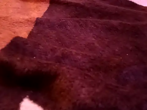 bigtelugubhama online show from February 2026 08:23:02 PM