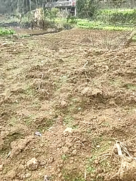 Snapshot of tian7788 chatting on February 2026 03:03:02 AM tian7788 online show from February 2026 03:03:02 AM