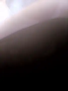 pino870 online show from January 2026 09:52:02 PM