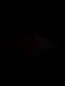 Pallu Asha online show from February 2026 01:01:02 AM