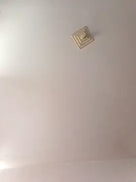 Snapshot of Ricardotarado chatting on November 2025 01:01:02 PM Ricardotarado online show from November 2025 01:01:02 PM