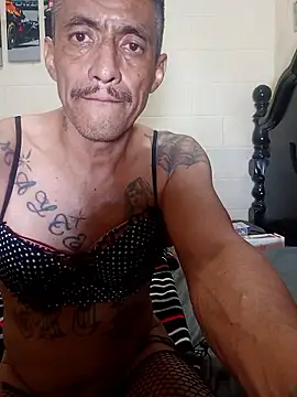 Innsacianle online show from February 2026 07:10:02 AM