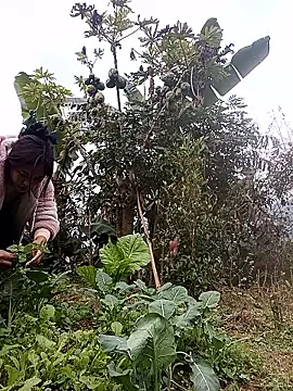 Alice-567 online show from January 2026 09:25:02 AM