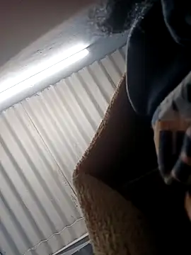 bearslove143 online show from November 2025 06:01:02 AM