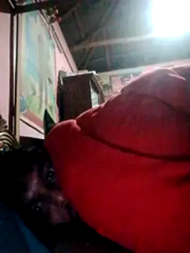 Snapshot of Lema-00 chatting on January 2026 12:12:02 AM Lema-00 online show from January 2026 12:12:02 AM