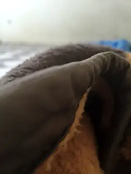 Realverse online show from November 2025 04:40:01 PM