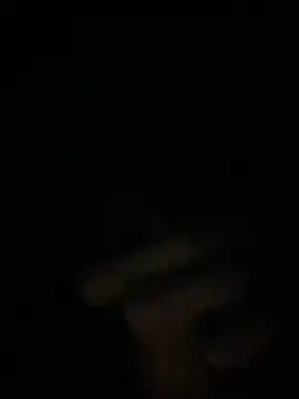 Manfredini607452 online show from November 2025 12:44:02 AM