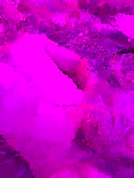 PitoDuroWuero online show from November 2025 11:34:02 AM