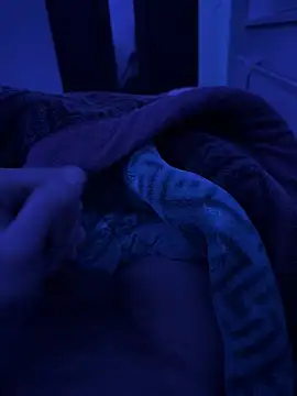 Snapshot of jafop098864 chatting on March 2026 03:20:01 AM jafop098864 online show from March 2026 03:20:01 AM