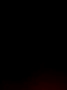 Tamil White Rose online show from April 2026 08:28:02 PM