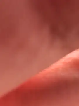 Snapshot of Nikkify chatting on March 2026 12:56:02 PM Nikkify online show from March 2026 12:56:02 PM