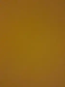 Snapshot of kentojp chatting on November 2025 01:43:03 PM kentojp online show from November 2025 01:43:03 PM