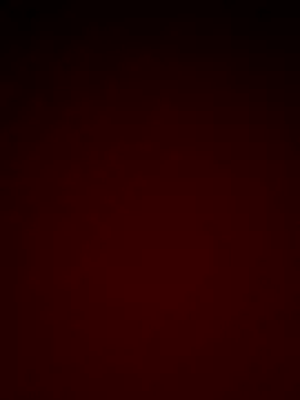 Snapshot of letty125 chatting on November 2025 12:16:01 PM letty125 online show from November 2025 12:16:01 PM