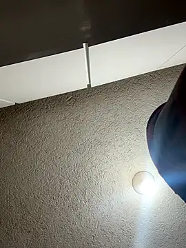 Snapshot of RaySullivan chatting on November 2025 08:19:01 PM RaySullivan online show from November 2025 08:19:01 PM