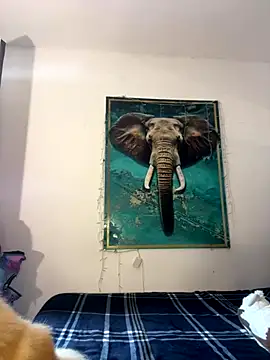 alisaa jhons1 online show from December 2025 04:56:01 PM