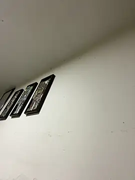 gatito polo69 online show from January 2026 02:04:02 AM