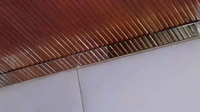 Snapshot of LannyShell chatting on February 2026 05:23:02 PM LannyShell online show from February 2026 05:23:02 PM