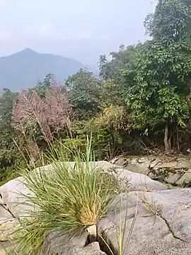 Lynly k2 online show from December 2025 05:25:02 AM