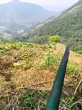 Snapshot of Lynly_k2 chatting on April 2026 07:19:01 AM Lynly k2 online show from April 2026 07:19:01 AM