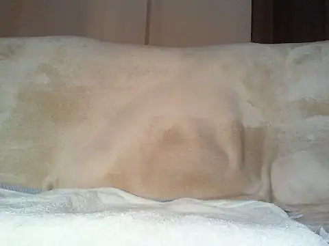 Cumlover5534 online show from March 2026 09:38:02 AM