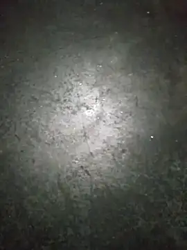 WillfulVideo online show from November 2025 09:52:02 AM