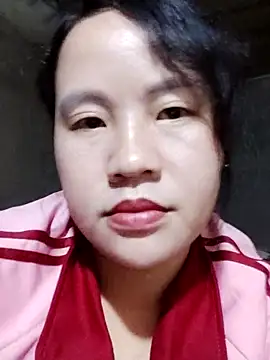 Snapshot of yelow-bee chatting on November 2025 04:17:01 PM yelow-bee online show from November 2025 04:17:01 PM