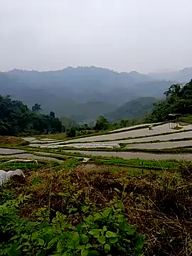 Cloud-wh online show from March 2026 02:39:01 AM