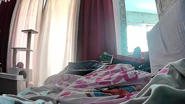 Chrisatmiami online show from April 2026 01:38:02 PM