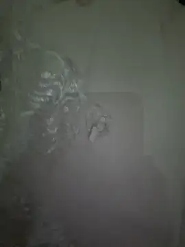 dalou3a22 online show from December 2025 12:18:01 AM