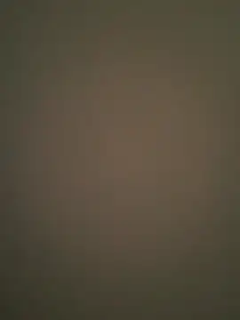 Zepouvinho online show from April 2026 11:30:02 AM