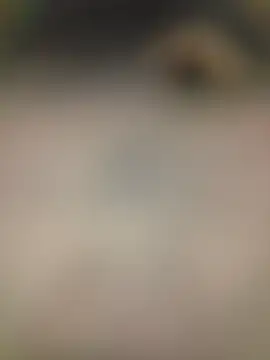 Snapshot of piggylatino chatting on February 2026 06:01:02 AM piggylatino online show from February 2026 06:01:02 AM