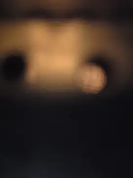 Snapshot of piggylatino chatting on February 2026 02:51:02 AM piggylatino online show from February 2026 02:51:02 AM