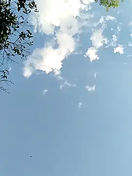 joselo2217 online show from November 2025 09:15:01 PM