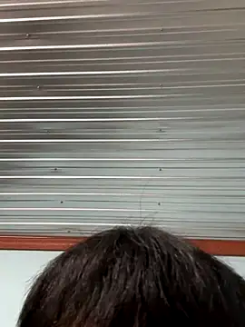 MEFUN- online show from December 2025 11:59:02 AM