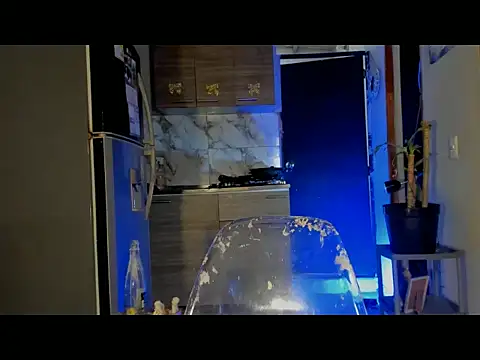 aprille15 online show from April 2026 08:11:02 PM