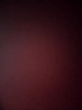 Guarnerstyle online show from December 2025 04:42:02 AM