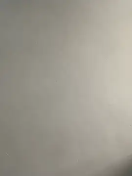 bigass256 online show from March 2026 08:14:02 AM