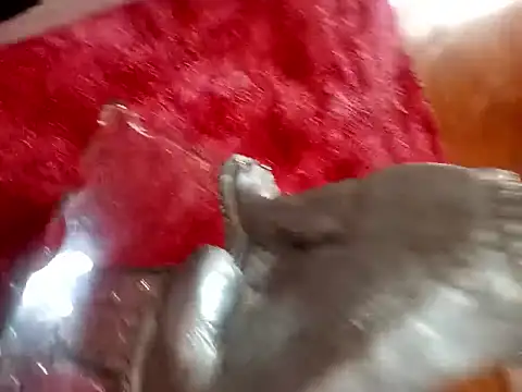 Jeison0323 online show from February 2026 08:25:02 PM