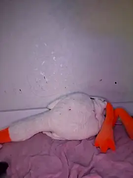 Snapshot of carolinakis_ chatting on February 2026 07:36:02 PM carolinakis online show from February 2026 07:36:02 PM