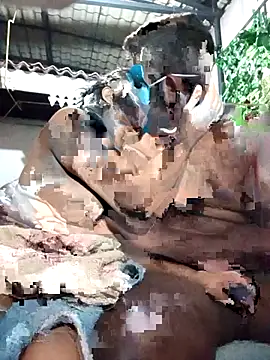 chathu danu online show from December 2025 09:53:01 PM