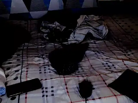 Savannah Cock online show from February 2026 02:08:02 AM