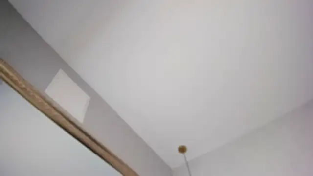 megann myers online show from February 2026 11:50:02 AM