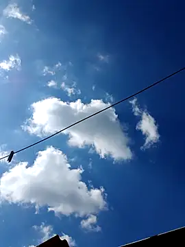 Eezxxx online show from December 2025 07:14:02 AM