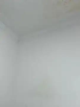 Snapshot of _Pamela_1 chatting on December 2025 02:39:01 AM Pamela 1 online show from December 2025 02:39:01 AM