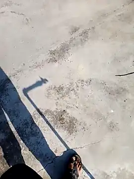 apka rockstarr online show from December 2025 03:48:01 AM