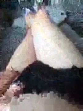 boo202179 online show from November 2025 02:27:02 PM